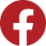 FACEBOOK icon alliance