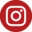 instagram icon alliance